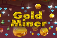 Gold Miner img